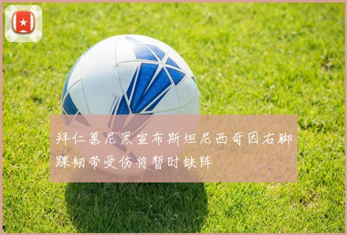 拜仁慕尼黑宣布斯坦尼西奇因右脚踝韧带受伤将暂时缺阵